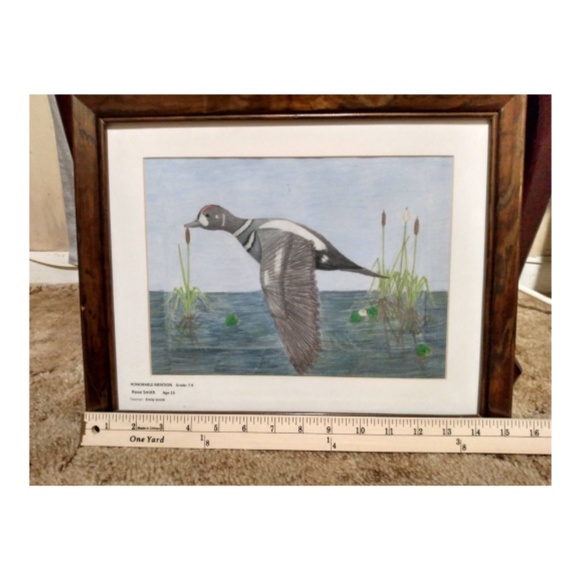 Hand-drawn pencil portrait of a duck - Picture 5 of 5